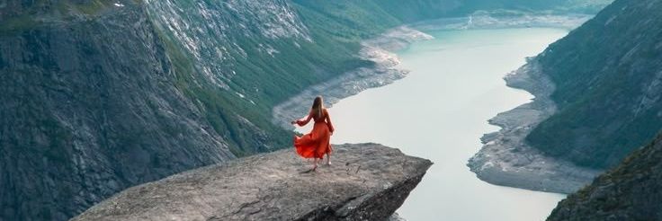 Nature Reflection 🌷's banner