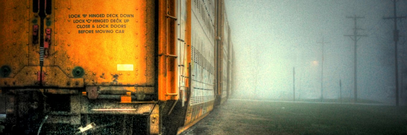 21CenturyPhotos's profile banner image