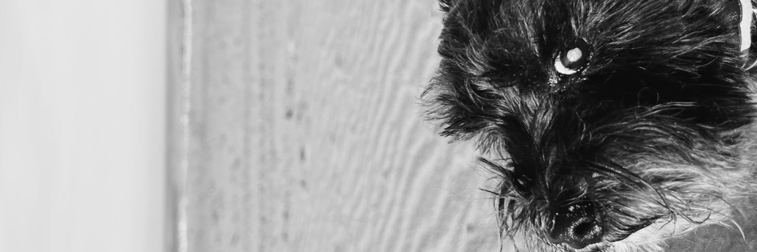 ThatGalTaylor's profile banner image