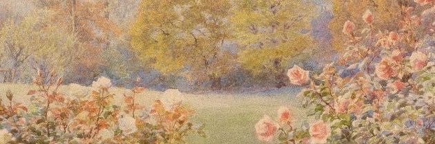 Z banner