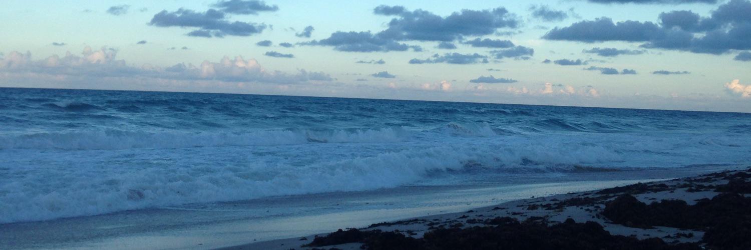 patchia26's profile banner image