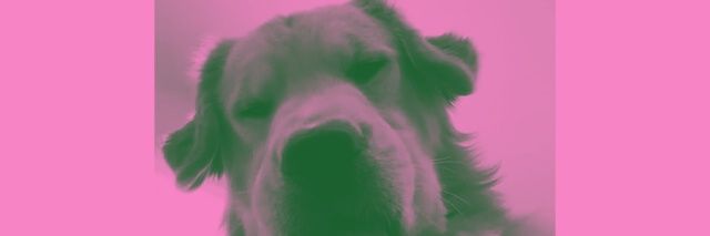 Psshhhtttt's profile banner image