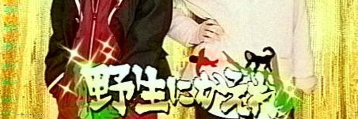 Kurea_koko's profile banner image