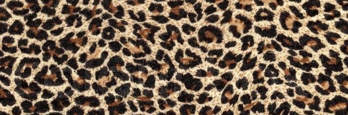 nayla⁷ | 🐆 banner
