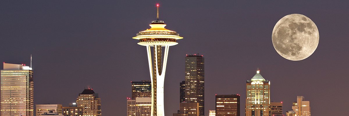 Chriswilliam's profile banner image