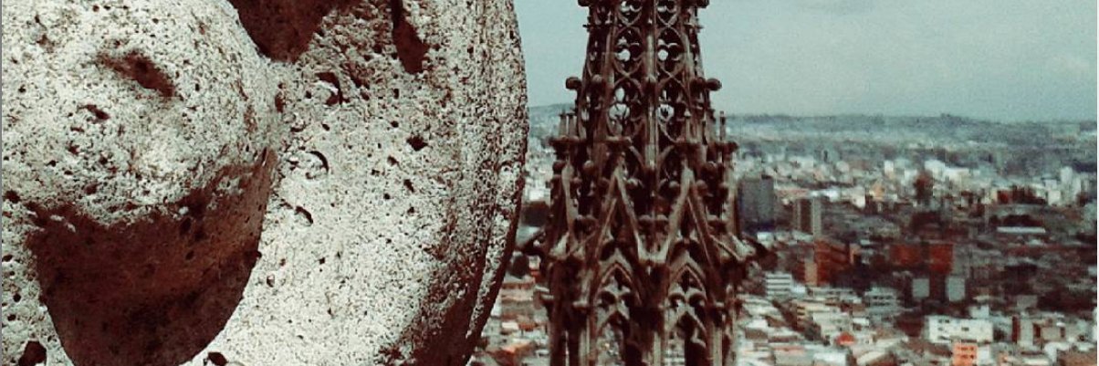 bernardaseg7's profile banner image