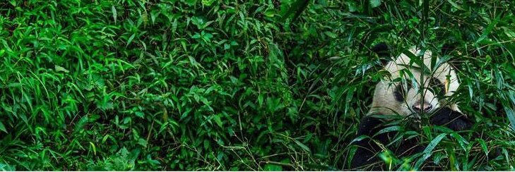 MimiMM_'s profile banner image