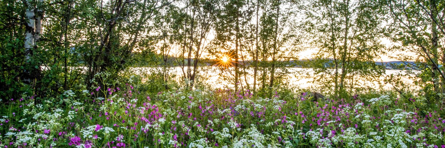 Ulrika Funered banner