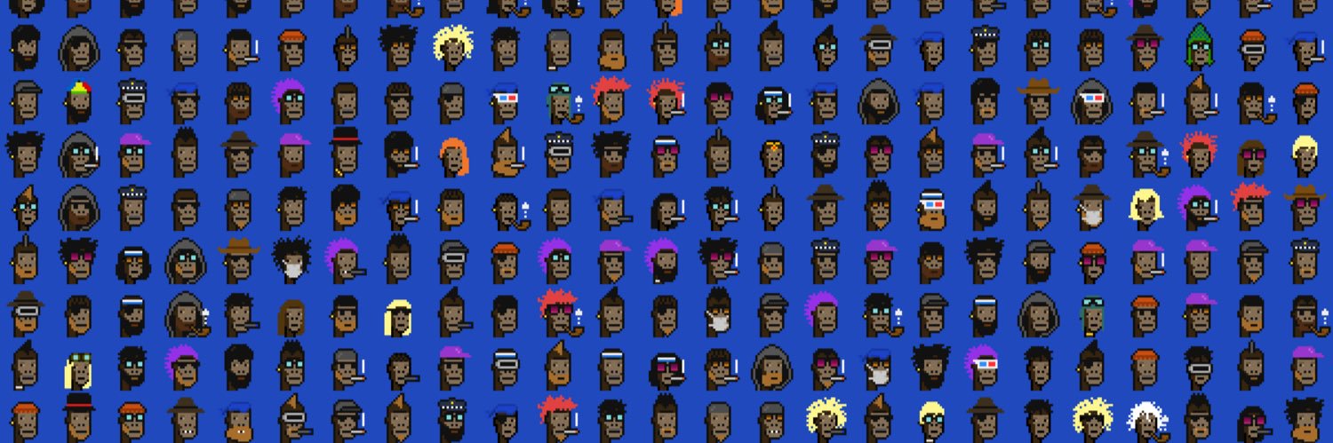 ApeChainPunks banner