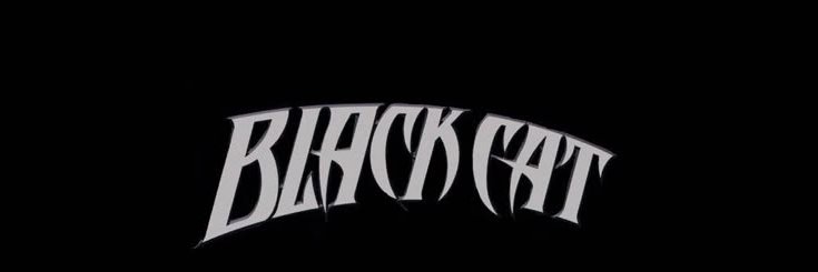 𝔅𝗅𝖺𝖼𝗄 ℭ𝖺𝗍. banner