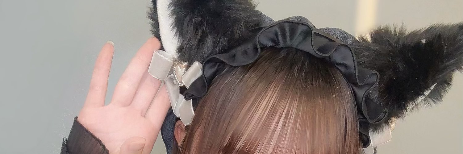 rina_veil's profile banner image