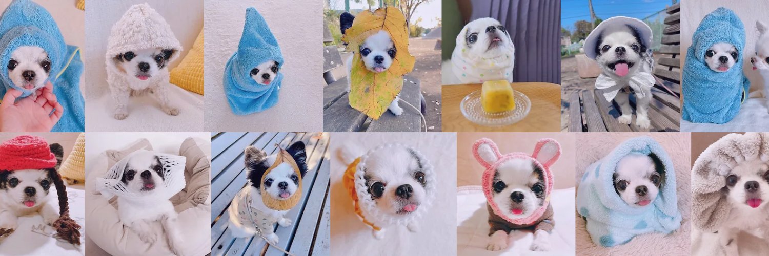 Base Wrapped Dog banner