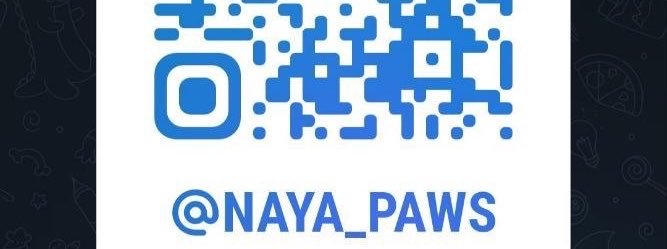 Imm_nayyaa's profile banner image