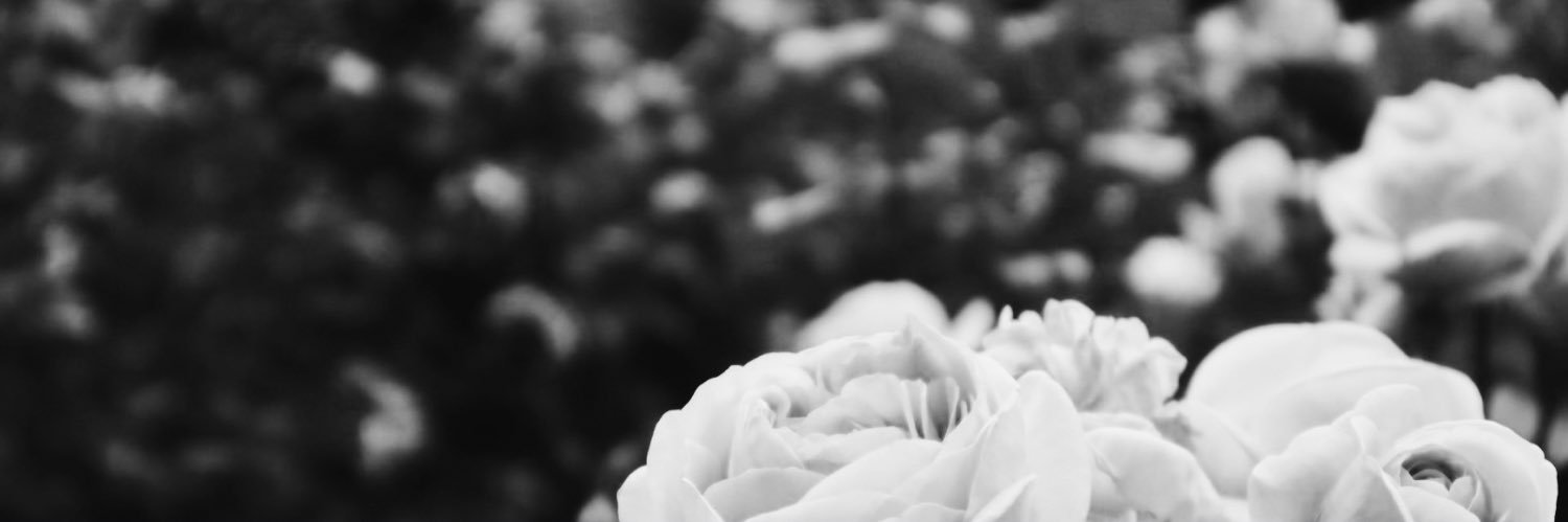 malissasole's profile banner image