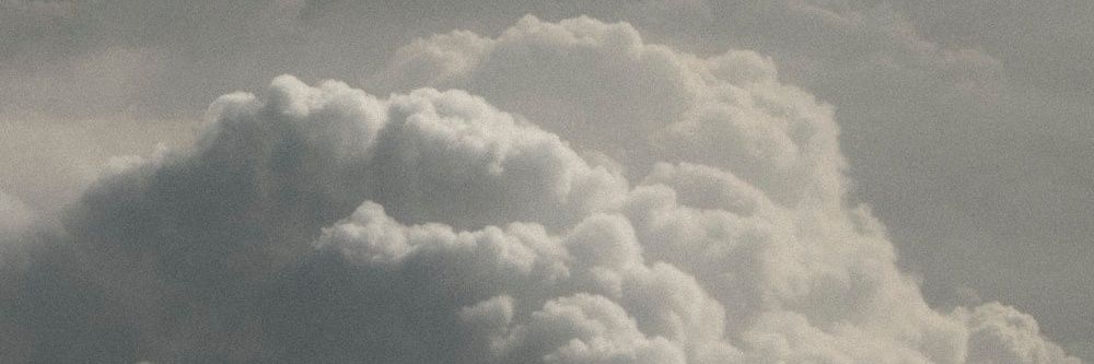 кошка тревожка | 16 banner