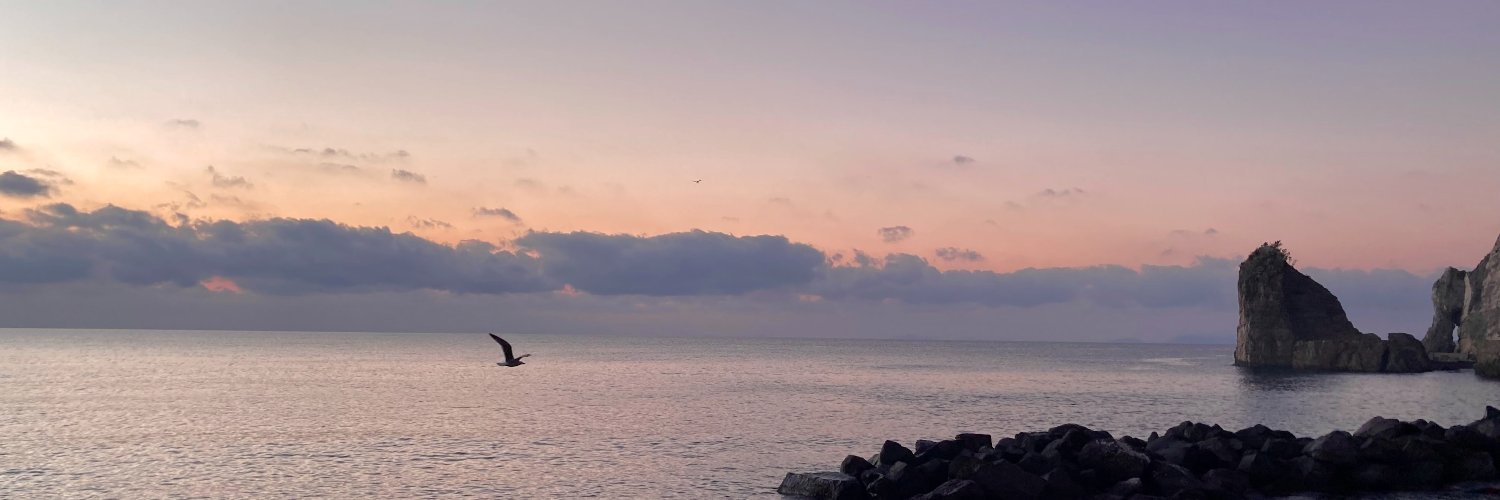S_Sperlongano's profile banner image