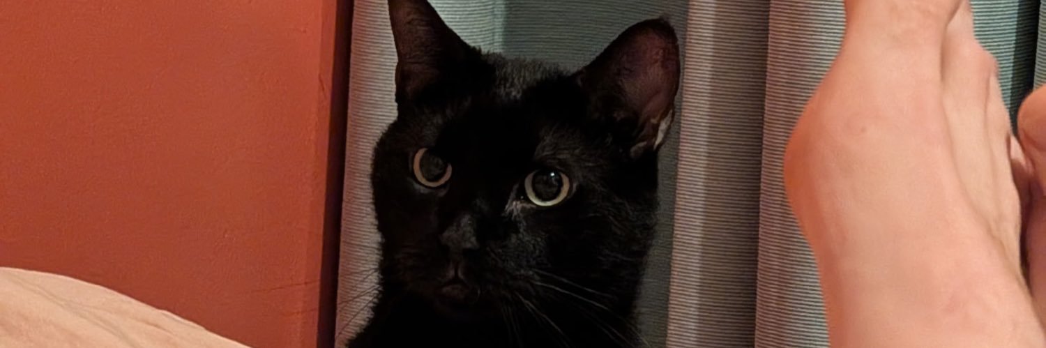 OGHachikoSol's profile banner image
