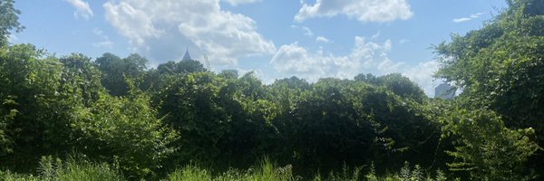 dreamingfire23 Profile Banner