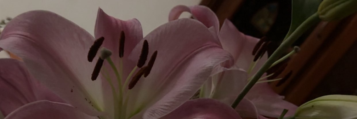 ximza67's profile banner image
