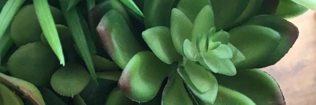 taybabiiiii's profile banner image