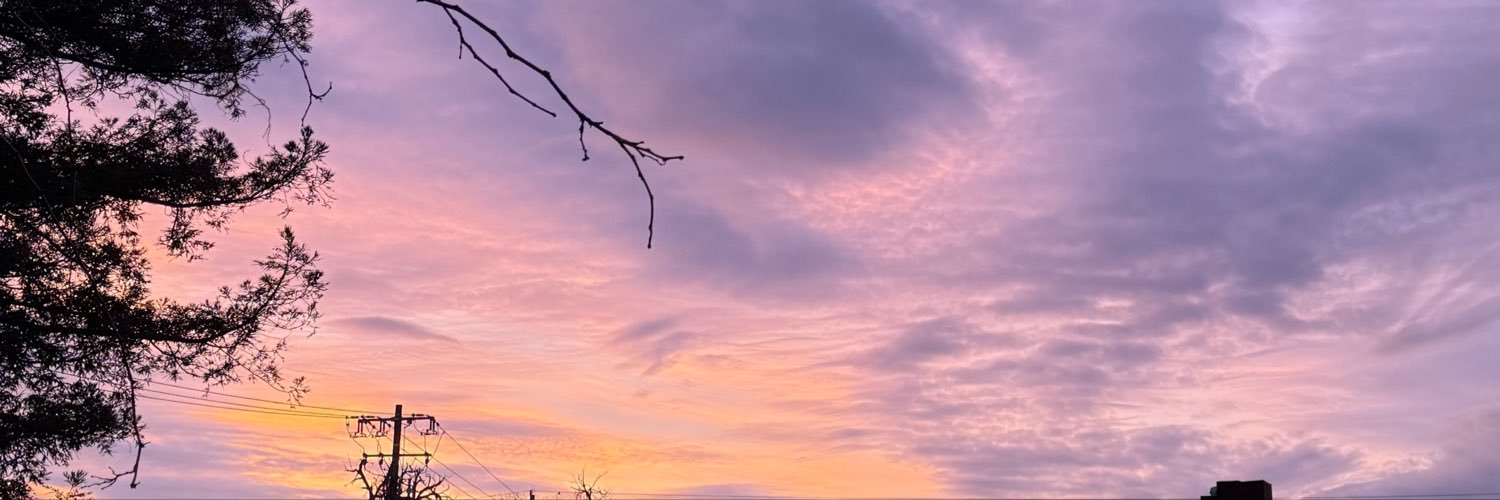 _layloxo's profile banner image