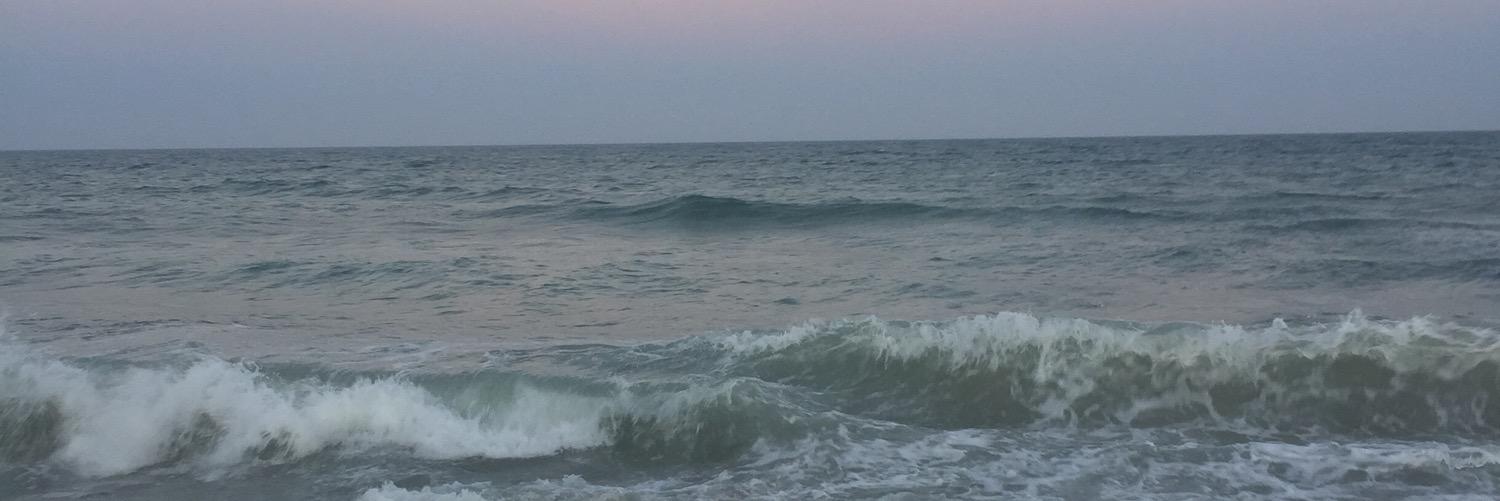 nicoletaylor627's profile banner image