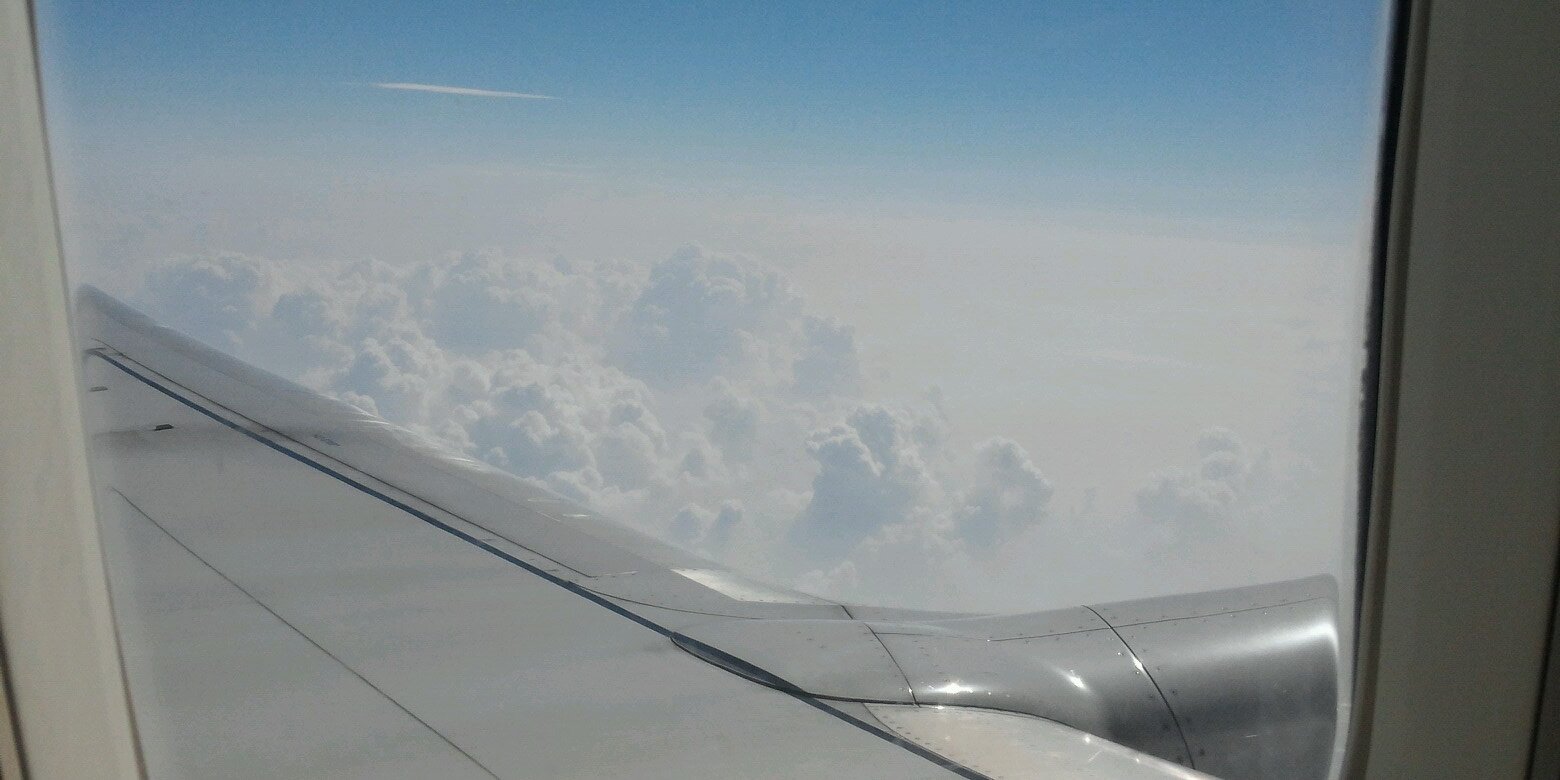 87774040's profile banner image