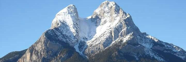 robert manrique banner