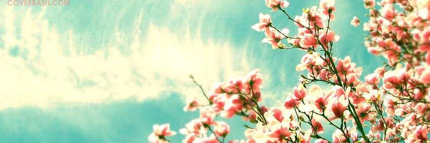 coenangela's profile banner image