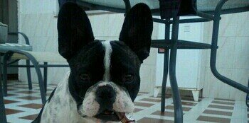 AdriQtecunda's profile banner image