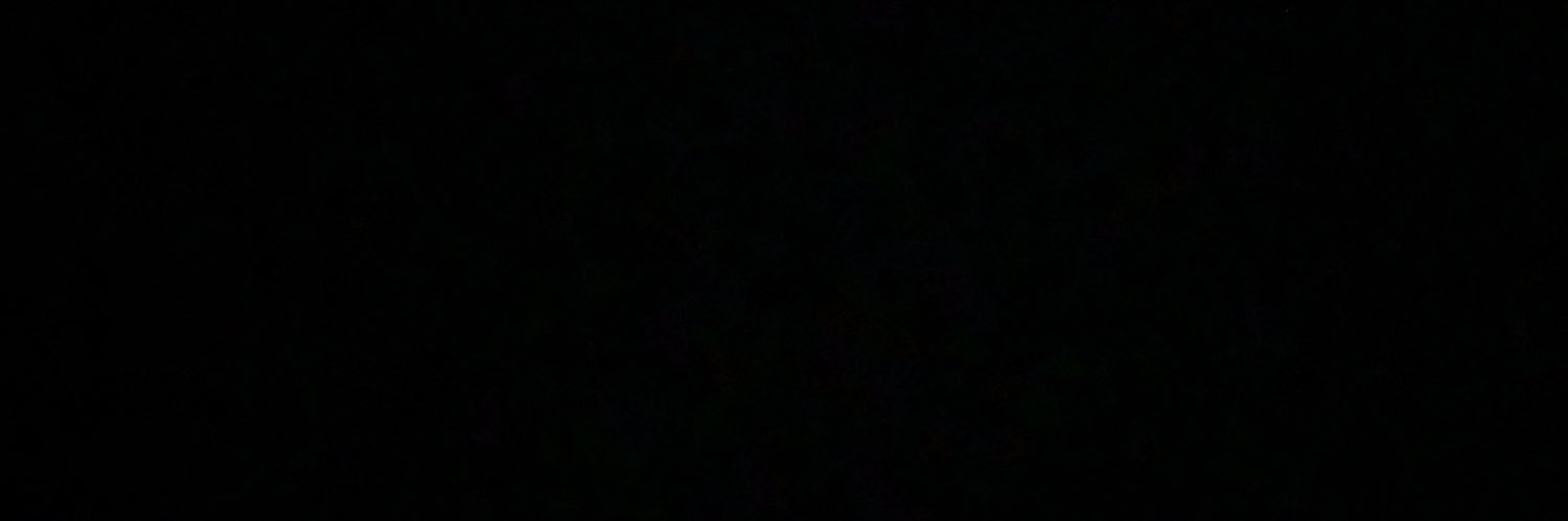 rmlvila's profile banner image