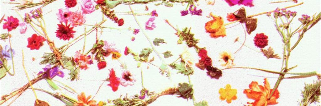 cursedfath3r's profile banner image