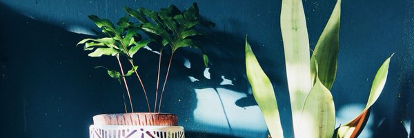Roannta Profile Banner