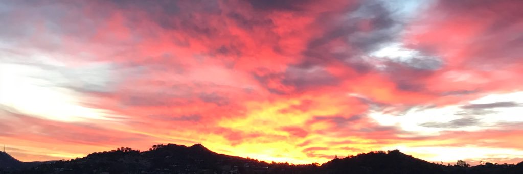 Jonathan Bock banner