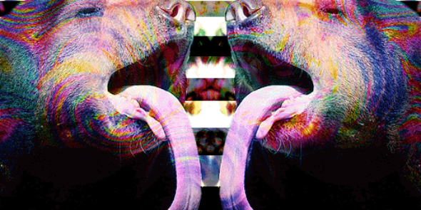 LordSuperHans's profile banner image