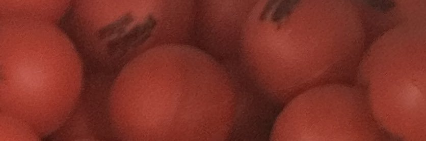 Peyton Mott (she/they) banner