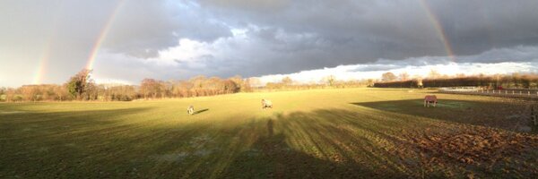 Rachaels91 Profile Banner