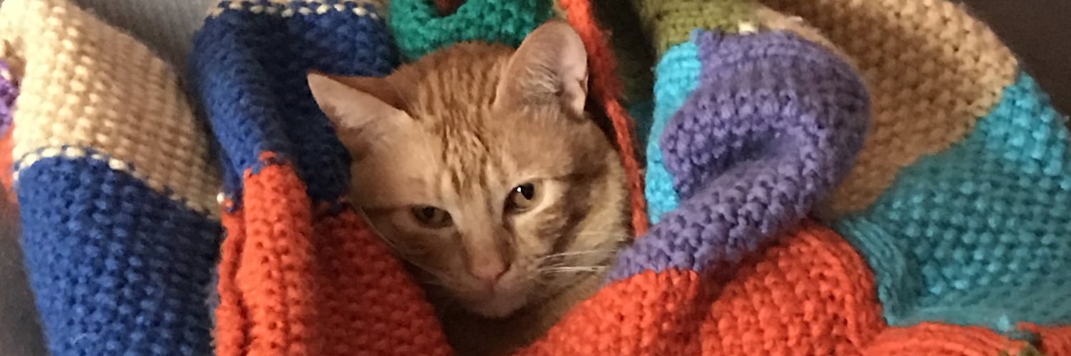 FRUTOSPUCELA's profile banner image