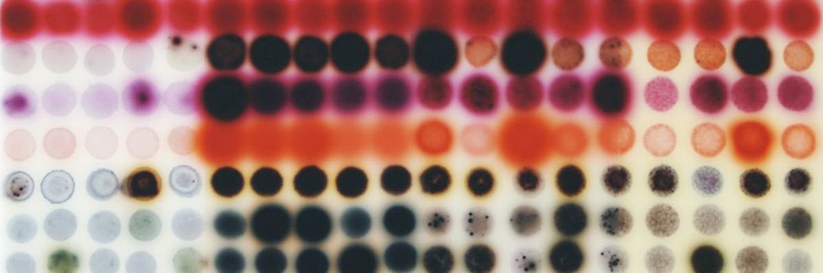 🎶 banner