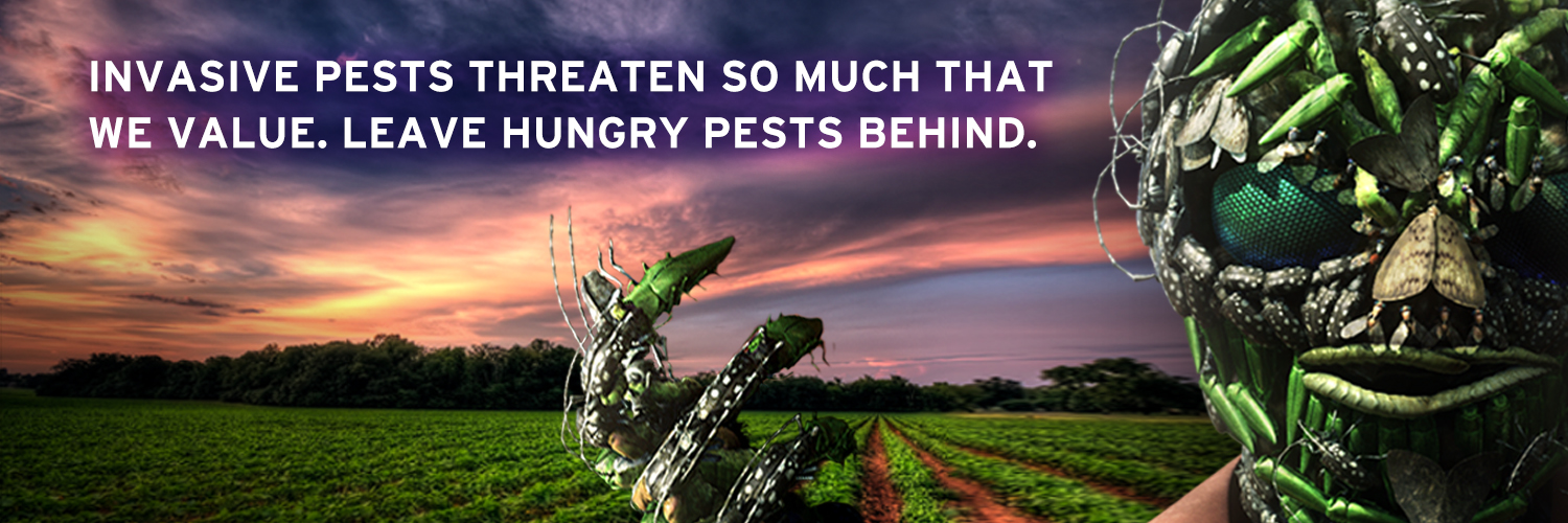 HungryPests's banner