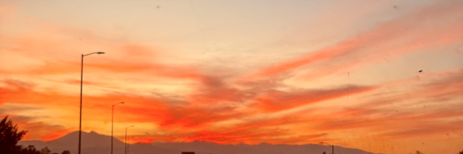 blossisl's profile banner image