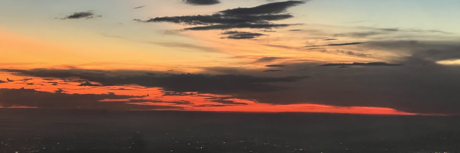 lafacialista's profile banner image