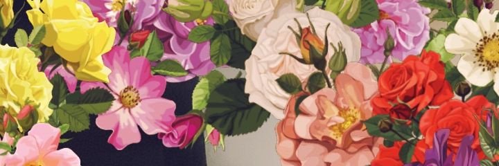 michimc75's profile banner image