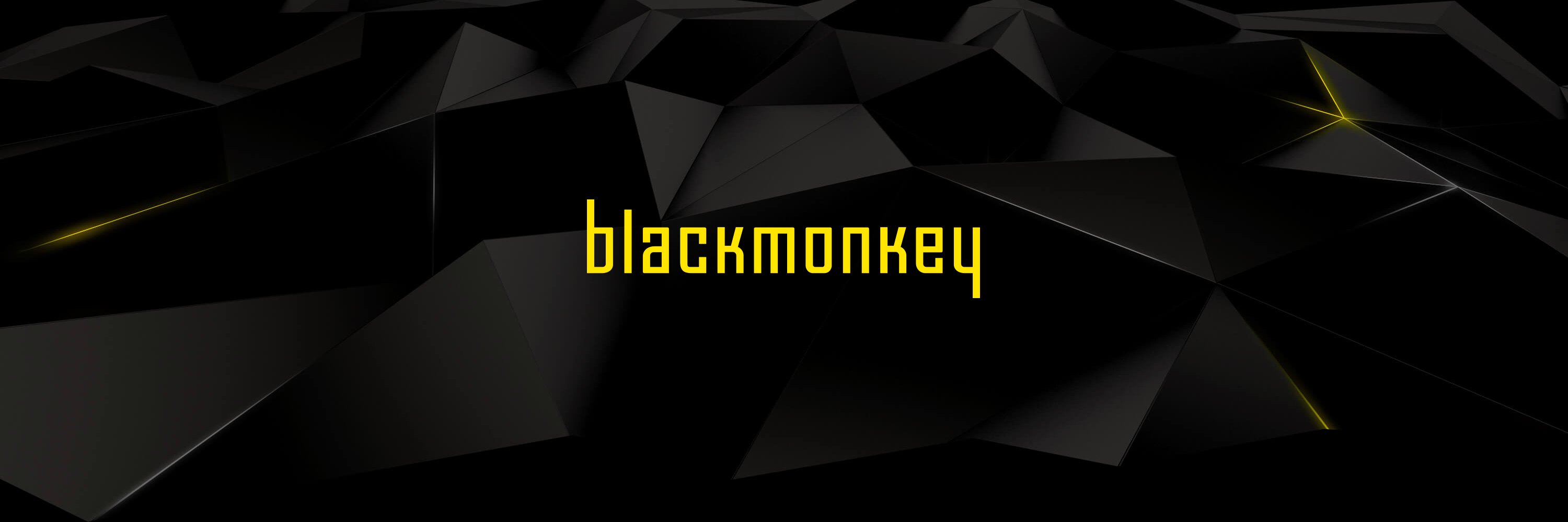 blackmonkeyde's profile banner image