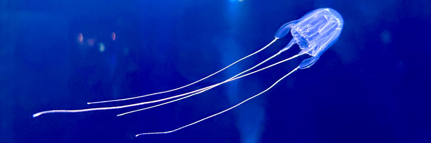 おけみ＊@初回取引固定ツリー必読 banner