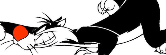 AcaymoA's profile banner image