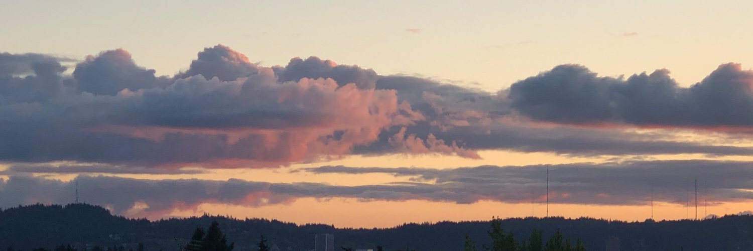 simonkirsch's profile banner image