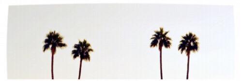 realpjaay's profile banner image