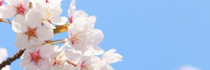 Sencil03's profile banner image