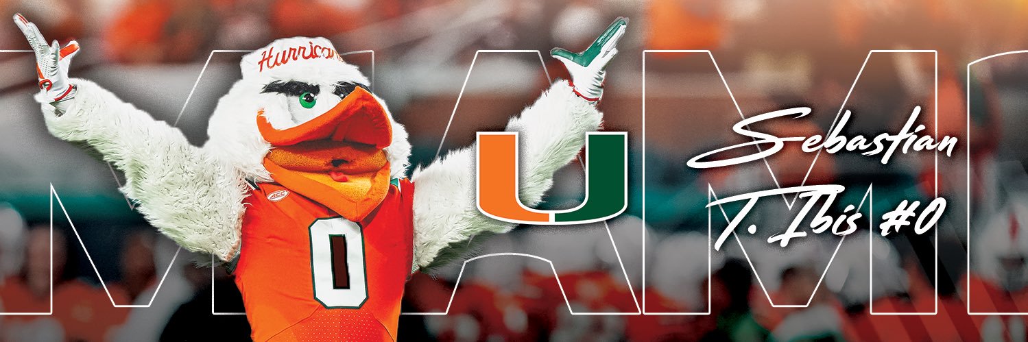 Sebastian The Ibis 🙌's banner